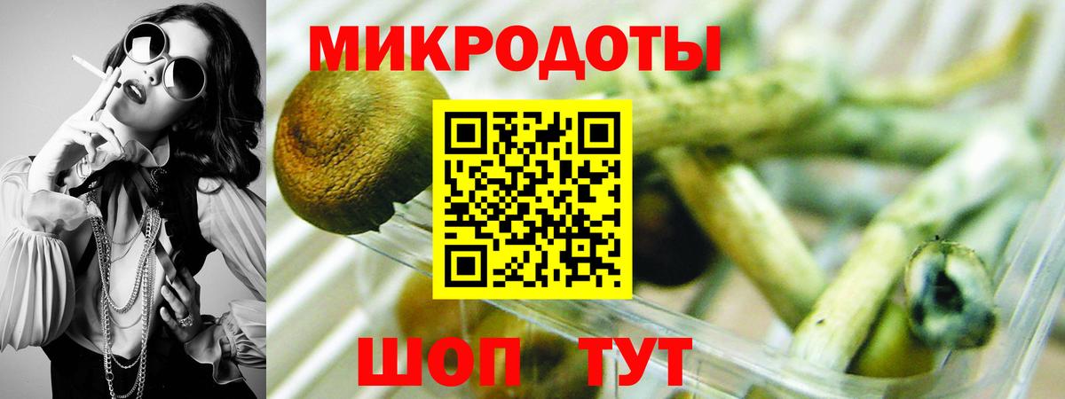 Минусинск  Псилоцибиновые грибы GOLDEN TEACHER  Галлюциногенные грибы GOLDEN TEACHER  Вход с VPN 